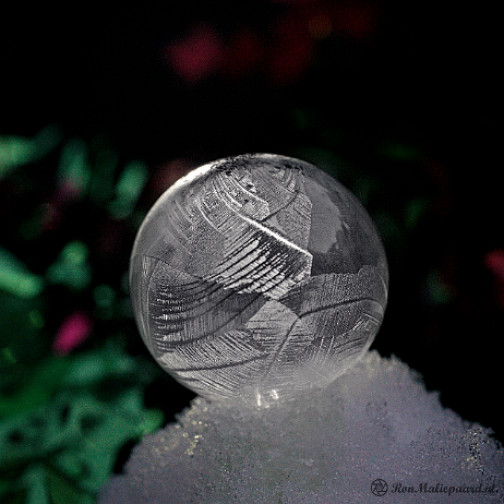 DSC07966- insta - Bevroren zeepbel - Watermark null