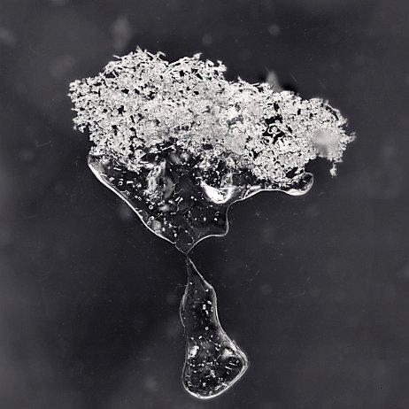 DSC07739 - Bevroren druppels - Watermerk null