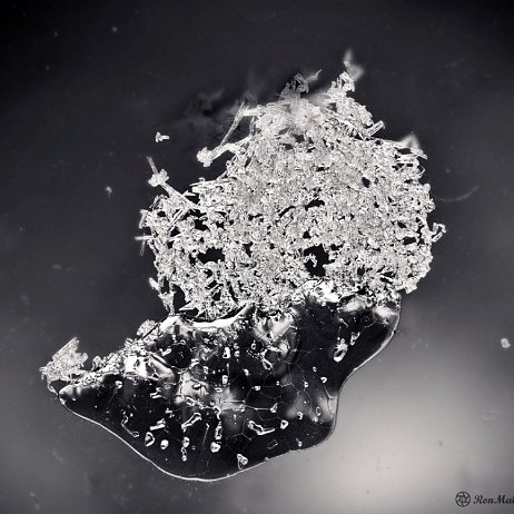 DSC07742 - Bevroren druppels - Watermerk null