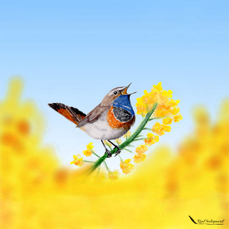 20210523 - FInal met geelblauw achtergrond - square-Edit Instagram null