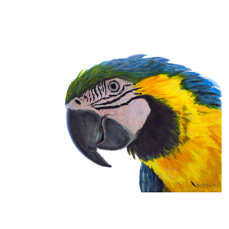 20210827 - ARA img20210827_11574590 2e 5000x5000 Instagram null