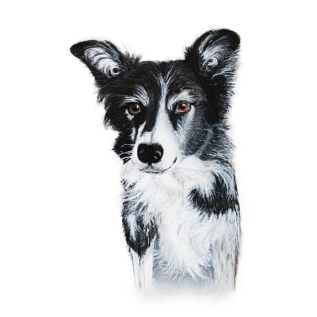 20211026 - Kyra - DSC06749 null