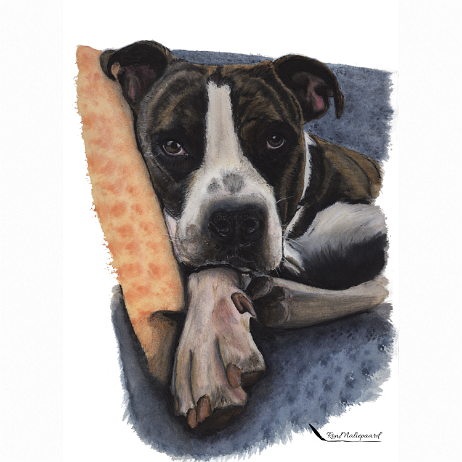 20211113 - Beer - img20211114_16271802 - Square Instagram null