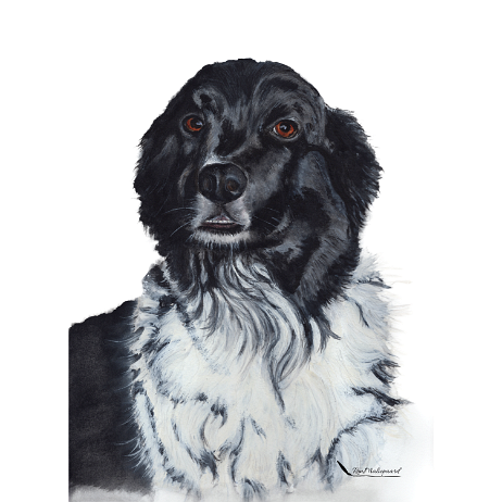 20211211 - Bootz img20211211_12025026 Adobe haarselectie - ACDSee bewerkt-square screen Instagram null