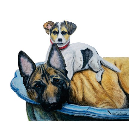 20220612 - Boris en Duran Productfoto's - DSC04411 square Instagrma Art+0.50 null