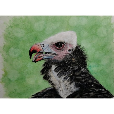 IMG_20221120_195352-Edit - square Instagram Art null