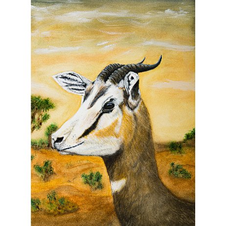 Mhorrgazelle (Nanger dama mhorr) 20220401 - Mhorrgazelle (Nanger dama mhorr) - DSC06732-Edit-3 Instagram Art null