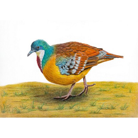 Website 2048px-2 null