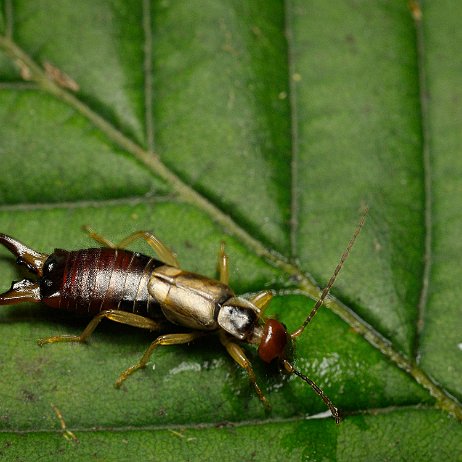 DSC00261 - Copy - topaz focus sharpened3_1 null