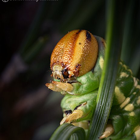 DSC01689 - Copy null