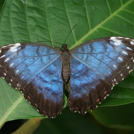 Kopie van pict0001 null