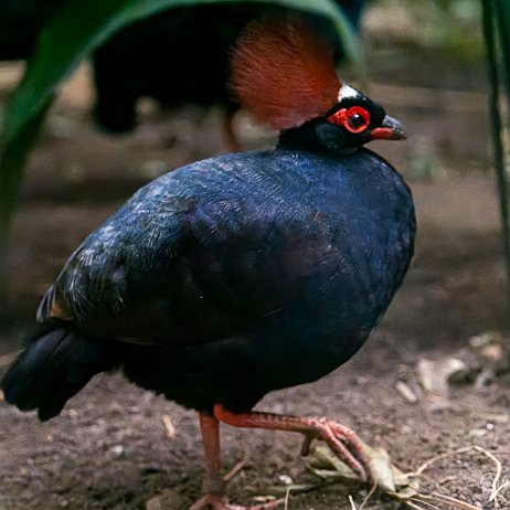 - DSC01727-ARW_DxO_DeepPRIME-Edit - Instagram null