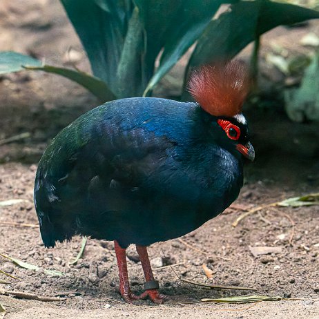 - DSC02210-ARW_DxO_DeepPRIME-Edit - Instagram null