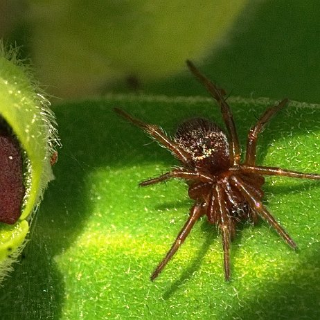 _DSC4429-31 2020-03-17 20-19-46 (C,Smoothing4) null