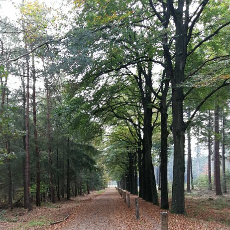 IMG_20181021_170443 null