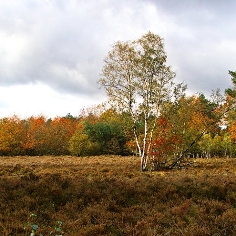 _DSC1932 - FB - - Watermerk_1 null