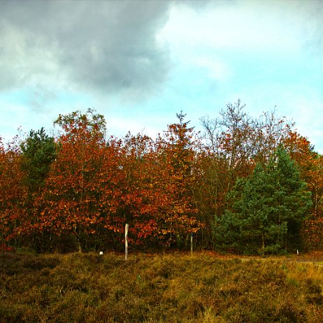 _DSC1934 - FB - - Watermerk null