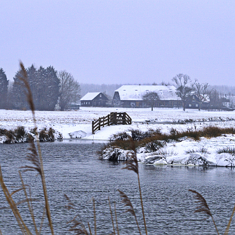 DSC07813- insta - - Watermark null