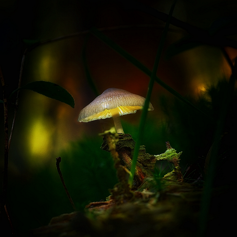 DSC00445 - DSC00448 2021-10-20 19-20-45 (B,Radius8,Smoothing4) - Copy3- insta - - Watermark null