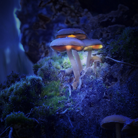 DSC00505-507 2021-10-24 21-00-06 (B,Radius8,Smoothing4)_2 null